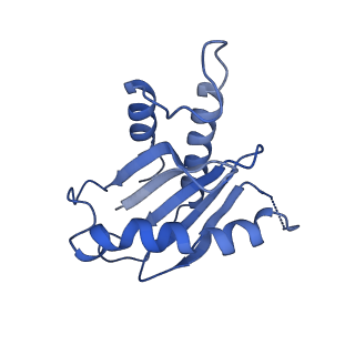 26254_7u05_K_v1-1
Structure of the yeast TRAPPII-Rab11/Ypt32 complex in the closed/closed state (composite structure)