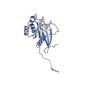 26254_7u05_L_v1-1
Structure of the yeast TRAPPII-Rab11/Ypt32 complex in the closed/closed state (composite structure)