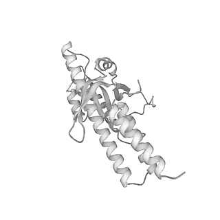 26254_7u05_M_v1-1
Structure of the yeast TRAPPII-Rab11/Ypt32 complex in the closed/closed state (composite structure)