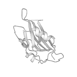 26254_7u05_N_v1-1
Structure of the yeast TRAPPII-Rab11/Ypt32 complex in the closed/closed state (composite structure)