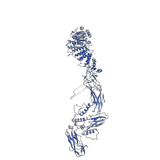 26254_7u05_a_v1-1
Structure of the yeast TRAPPII-Rab11/Ypt32 complex in the closed/closed state (composite structure)