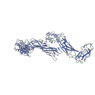 26254_7u05_b_v1-1
Structure of the yeast TRAPPII-Rab11/Ypt32 complex in the closed/closed state (composite structure)
