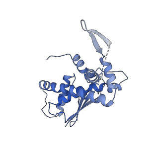 26254_7u05_e_v1-1
Structure of the yeast TRAPPII-Rab11/Ypt32 complex in the closed/closed state (composite structure)