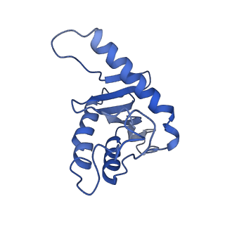 26254_7u05_g_v1-1
Structure of the yeast TRAPPII-Rab11/Ypt32 complex in the closed/closed state (composite structure)