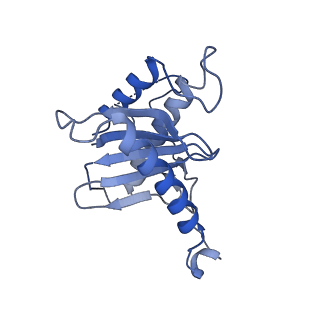 26254_7u05_h_v1-1
Structure of the yeast TRAPPII-Rab11/Ypt32 complex in the closed/closed state (composite structure)