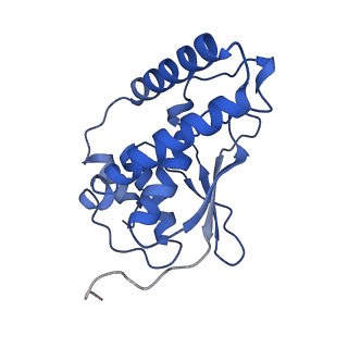 26254_7u05_i_v1-1
Structure of the yeast TRAPPII-Rab11/Ypt32 complex in the closed/closed state (composite structure)