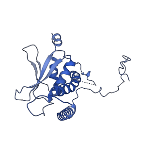 26254_7u05_j_v1-1
Structure of the yeast TRAPPII-Rab11/Ypt32 complex in the closed/closed state (composite structure)