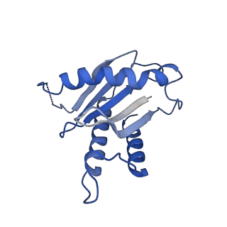 26254_7u05_k_v1-1
Structure of the yeast TRAPPII-Rab11/Ypt32 complex in the closed/closed state (composite structure)