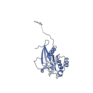 26254_7u05_l_v1-1
Structure of the yeast TRAPPII-Rab11/Ypt32 complex in the closed/closed state (composite structure)