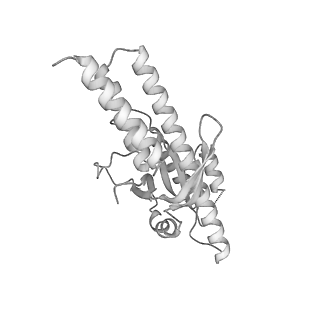 26254_7u05_m_v1-1
Structure of the yeast TRAPPII-Rab11/Ypt32 complex in the closed/closed state (composite structure)