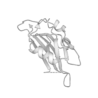 26254_7u05_n_v1-1
Structure of the yeast TRAPPII-Rab11/Ypt32 complex in the closed/closed state (composite structure)