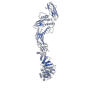 26255_7u06_A_v1-1
Structure of the yeast TRAPPII-Rab11/Ypt32 complex in the closed/open state (composite structure)