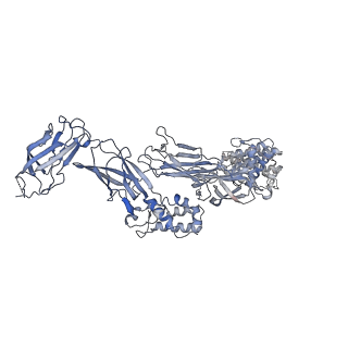 26255_7u06_B_v1-1
Structure of the yeast TRAPPII-Rab11/Ypt32 complex in the closed/open state (composite structure)