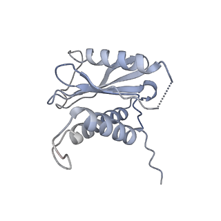 26255_7u06_D_v1-1
Structure of the yeast TRAPPII-Rab11/Ypt32 complex in the closed/open state (composite structure)