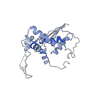26255_7u06_E_v1-1
Structure of the yeast TRAPPII-Rab11/Ypt32 complex in the closed/open state (composite structure)