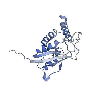 26255_7u06_F_v1-1
Structure of the yeast TRAPPII-Rab11/Ypt32 complex in the closed/open state (composite structure)