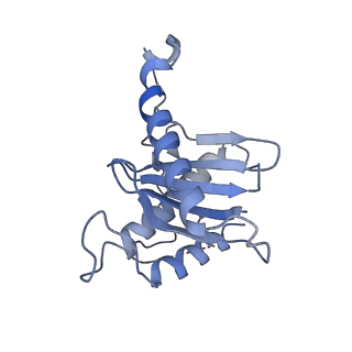26255_7u06_H_v1-1
Structure of the yeast TRAPPII-Rab11/Ypt32 complex in the closed/open state (composite structure)