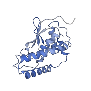 26255_7u06_I_v1-1
Structure of the yeast TRAPPII-Rab11/Ypt32 complex in the closed/open state (composite structure)