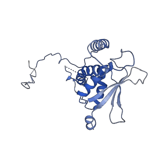 26255_7u06_J_v1-1
Structure of the yeast TRAPPII-Rab11/Ypt32 complex in the closed/open state (composite structure)