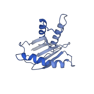 26255_7u06_K_v1-1
Structure of the yeast TRAPPII-Rab11/Ypt32 complex in the closed/open state (composite structure)