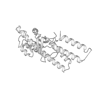 26255_7u06_M_v1-1
Structure of the yeast TRAPPII-Rab11/Ypt32 complex in the closed/open state (composite structure)