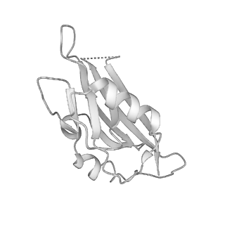 26255_7u06_N_v1-1
Structure of the yeast TRAPPII-Rab11/Ypt32 complex in the closed/open state (composite structure)