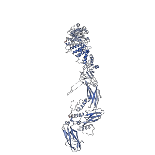 26255_7u06_a_v1-1
Structure of the yeast TRAPPII-Rab11/Ypt32 complex in the closed/open state (composite structure)
