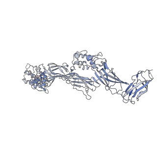 26255_7u06_b_v1-1
Structure of the yeast TRAPPII-Rab11/Ypt32 complex in the closed/open state (composite structure)