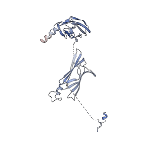 26255_7u06_c_v1-1
Structure of the yeast TRAPPII-Rab11/Ypt32 complex in the closed/open state (composite structure)