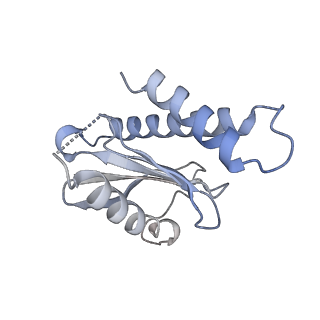 26255_7u06_d_v1-1
Structure of the yeast TRAPPII-Rab11/Ypt32 complex in the closed/open state (composite structure)