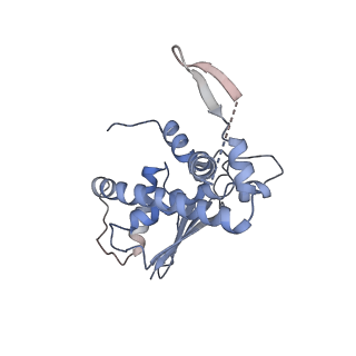 26255_7u06_e_v1-1
Structure of the yeast TRAPPII-Rab11/Ypt32 complex in the closed/open state (composite structure)