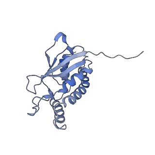 26255_7u06_f_v1-1
Structure of the yeast TRAPPII-Rab11/Ypt32 complex in the closed/open state (composite structure)