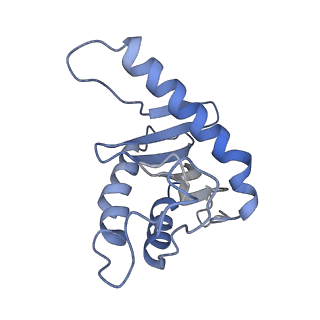 26255_7u06_g_v1-1
Structure of the yeast TRAPPII-Rab11/Ypt32 complex in the closed/open state (composite structure)