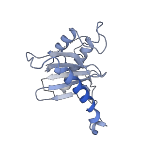 26255_7u06_h_v1-1
Structure of the yeast TRAPPII-Rab11/Ypt32 complex in the closed/open state (composite structure)
