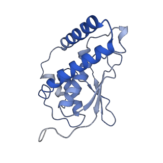 26255_7u06_i_v1-1
Structure of the yeast TRAPPII-Rab11/Ypt32 complex in the closed/open state (composite structure)