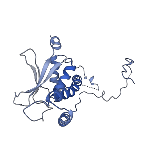 26255_7u06_j_v1-1
Structure of the yeast TRAPPII-Rab11/Ypt32 complex in the closed/open state (composite structure)