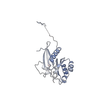 26255_7u06_l_v1-1
Structure of the yeast TRAPPII-Rab11/Ypt32 complex in the closed/open state (composite structure)