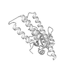 26255_7u06_m_v1-1
Structure of the yeast TRAPPII-Rab11/Ypt32 complex in the closed/open state (composite structure)