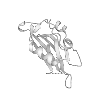 26255_7u06_n_v1-1
Structure of the yeast TRAPPII-Rab11/Ypt32 complex in the closed/open state (composite structure)
