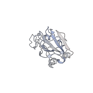 26256_7u0d_B_v1-1
Local refinement of cryo-EM structure of the interface of the Omicron RBD in complex with antibodies B-182.1 and A19-46.1