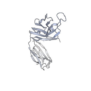 26256_7u0d_M_v1-1
Local refinement of cryo-EM structure of the interface of the Omicron RBD in complex with antibodies B-182.1 and A19-46.1