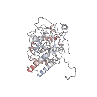 26257_7u0f_C_v1-1
HIV-1 Rev in complex with tubulin