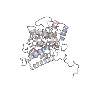 26257_7u0f_D_v1-1
HIV-1 Rev in complex with tubulin