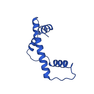 26258_7u0g_A_v1-0
structure of LIN28b nucleosome bound 3 OCT4