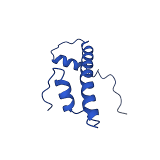26258_7u0g_B_v1-0
structure of LIN28b nucleosome bound 3 OCT4
