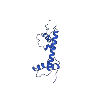 26258_7u0g_C_v1-0
structure of LIN28b nucleosome bound 3 OCT4