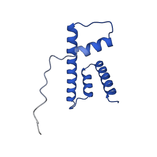 26258_7u0g_D_v1-0
structure of LIN28b nucleosome bound 3 OCT4