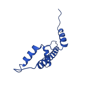 26258_7u0g_E_v1-0
structure of LIN28b nucleosome bound 3 OCT4