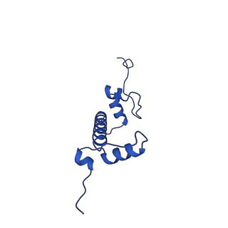 26258_7u0g_G_v1-0
structure of LIN28b nucleosome bound 3 OCT4