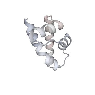 26258_7u0g_M_v1-0
structure of LIN28b nucleosome bound 3 OCT4